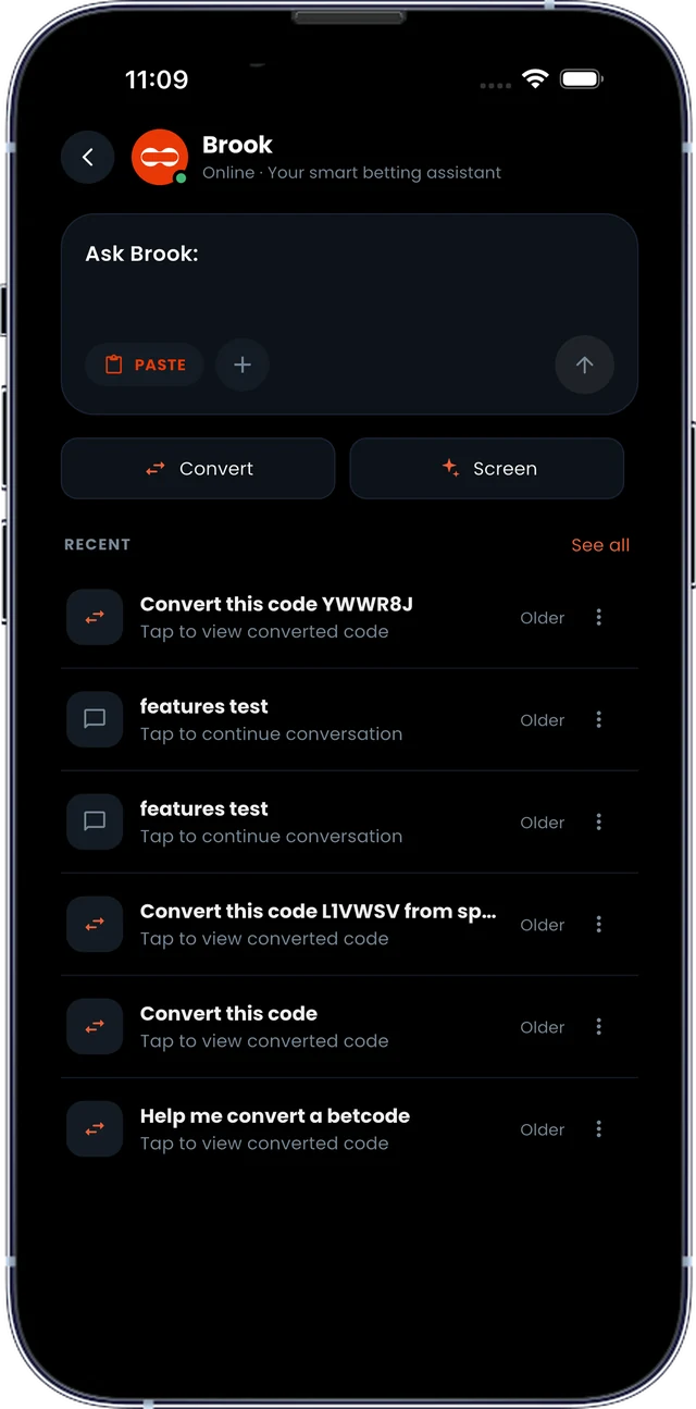 Brook, the Boorook AI assistant, listing recent bet code conversations
